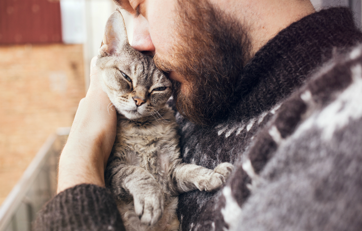 Animais de estimação em condomínio